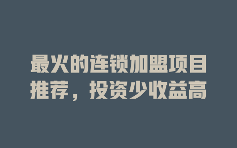 最火的连锁加盟项目推荐，投资少收益高-小本创业副业项目推荐_零成本在家赚钱项目_中赚网