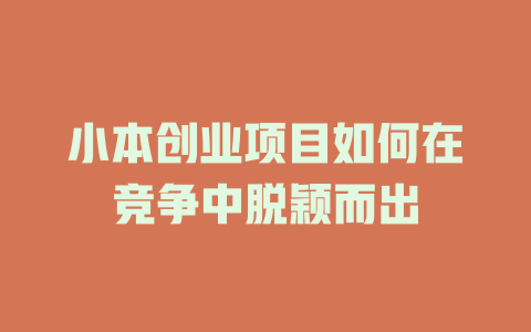 小本创业项目如何在竞争中脱颖而出-小本创业副业项目推荐_零成本在家赚钱项目_中赚网