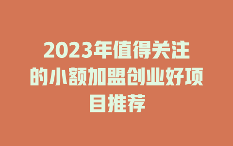2023年值得关注的小额加盟创业好项目推荐-小本创业副业项目推荐_零成本在家赚钱项目_中赚网