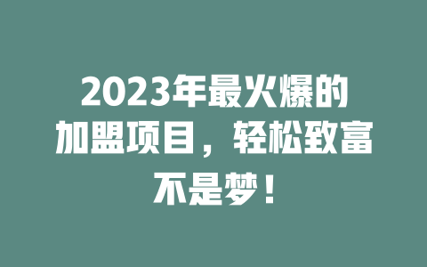 2023年最火爆的加盟项目，轻松致富不是梦！-小本创业副业项目推荐_零成本在家赚钱项目_中赚网