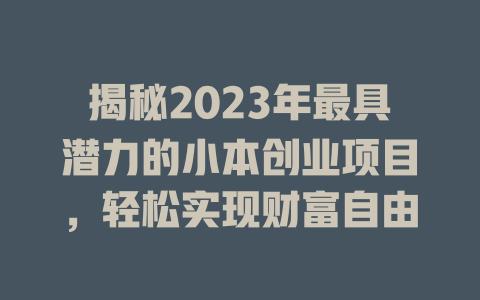 揭秘2023年最具潜力的小本创业项目，轻松实现财富自由-小本创业副业项目推荐_零成本在家赚钱项目_中赚网