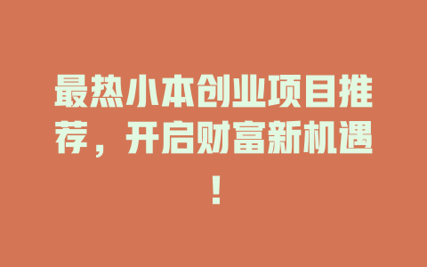 最热小本创业项目推荐，开启财富新机遇！-小本创业副业项目推荐_零成本在家赚钱项目_中赚网