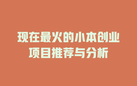 现在最火的小本创业项目推荐与分析-小本创业副业项目推荐_零成本在家赚钱项目_中赚网