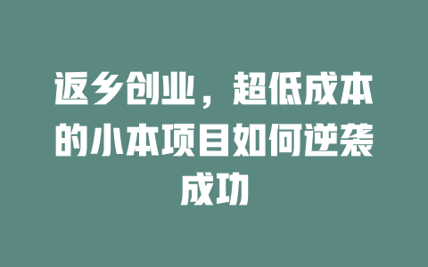 返乡创业，超低成本的小本项目如何逆袭成功-小本创业副业项目推荐_零成本在家赚钱项目_中赚网