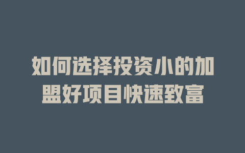 如何选择投资小的加盟好项目快速致富-小本创业副业项目推荐_零成本在家赚钱项目_中赚网