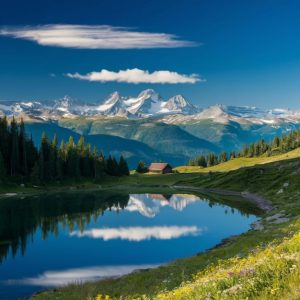 福建省美食项目加盟，选择哪家能让你快速致富？-小本创业副业项目推荐_零成本在家赚钱项目_中赚网