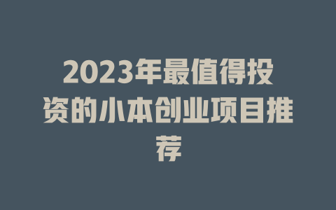 2023年最值得投资的小本创业项目推荐-小本创业副业项目推荐_零成本在家赚钱项目_中赚网