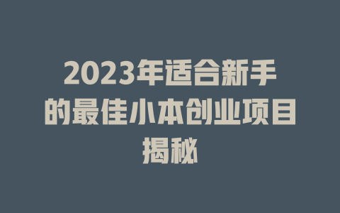 2023年适合新手的最佳小本创业项目揭秘-小本创业副业项目推荐_零成本在家赚钱项目_中赚网