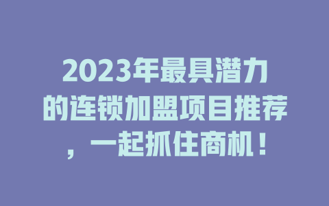 2023年最具潜力的连锁加盟项目推荐，一起抓住商机！-小本创业副业项目推荐_零成本在家赚钱项目_中赚网