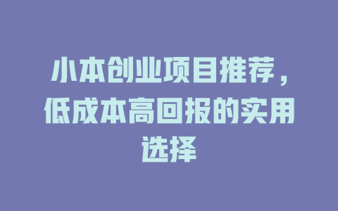 小本创业项目推荐，低成本高回报的实用选择-小本创业副业项目推荐_零成本在家赚钱项目_中赚网