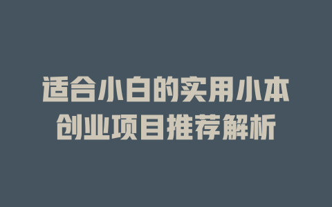 适合小白的实用小本创业项目推荐解析-小本创业副业项目推荐_零成本在家赚钱项目_中赚网