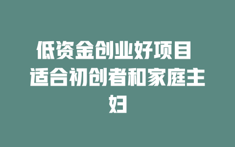 低资金创业好项目 适合初创者和家庭主妇-小本创业副业项目推荐_零成本在家赚钱项目_中赚网