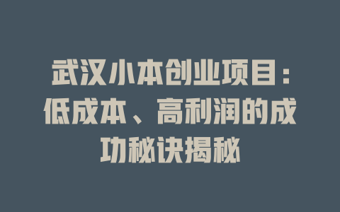 武汉小本创业项目：低成本、高利润的成功秘诀揭秘-小本创业副业项目推荐_零成本在家赚钱项目_中赚网