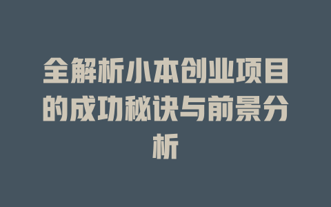 全解析小本创业项目的成功秘诀与前景分析-小本创业副业项目推荐_零成本在家赚钱项目_中赚网