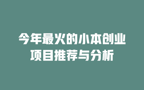 今年最火的小本创业项目推荐与分析-小本创业副业项目推荐_零成本在家赚钱项目_中赚网