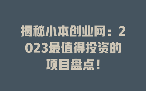 揭秘小本创业网：2023最值得投资的项目盘点！-小本创业副业项目推荐_零成本在家赚钱项目_中赚网