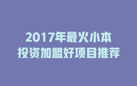 2017年最火小本投资加盟好项目推荐-小本创业副业项目推荐_零成本在家赚钱项目_中赚网