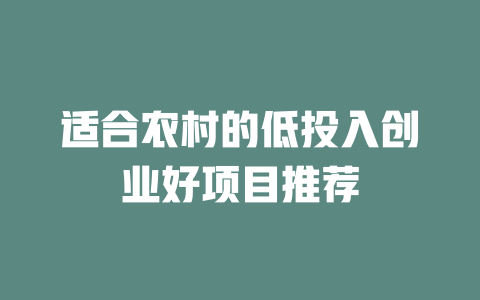 适合农村的低投入创业好项目推荐