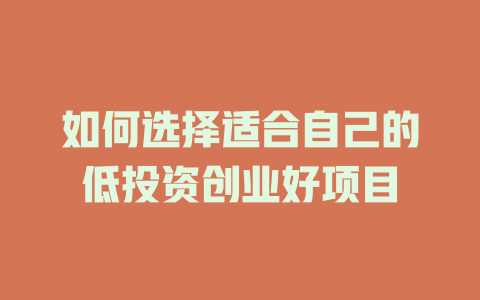 如何选择适合自己的低投资创业好项目-小本创业副业项目推荐_零成本在家赚钱项目_中赚网