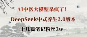 AI中医大模型杀疯了！DeepSeek中式养生2.0版本，十几篇笔记粉丝3w+-小本创业副业项目推荐_零成本在家赚钱项目_中赚网