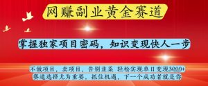 网创副业黄全赛道，掌握独家项目密码，知识变现快人一步，告别韭菜轻松实现单日变现1k+-小本创业副业项目推荐_零成本在家赚钱项目_中赚网