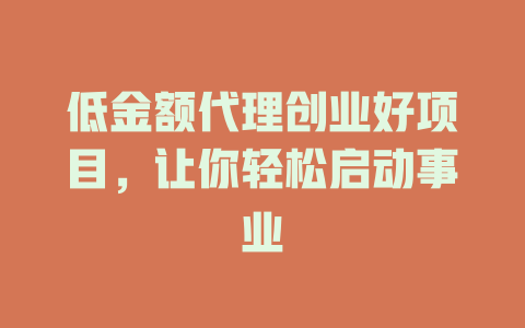 低金额代理创业好项目，让你轻松启动事业-小本创业副业项目推荐_零成本在家赚钱项目_中赚网