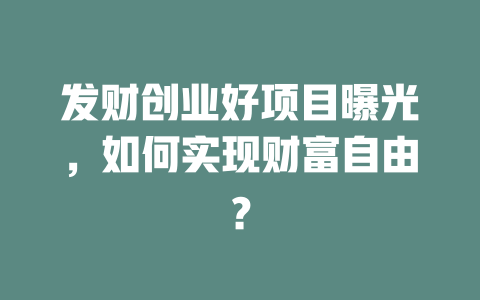 发财创业好项目曝光，如何实现财富自由？-小本创业副业项目推荐_零成本在家赚钱项目_中赚网
