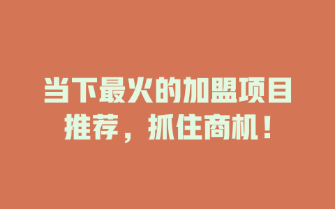 当下最火的加盟项目推荐，抓住商机！-小本创业副业项目推荐_零成本在家赚钱项目_中赚网