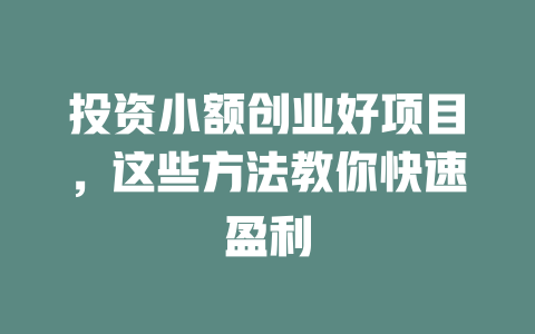 投资小额创业好项目，这些方法教你快速盈利-小本创业副业项目推荐_零成本在家赚钱项目_中赚网