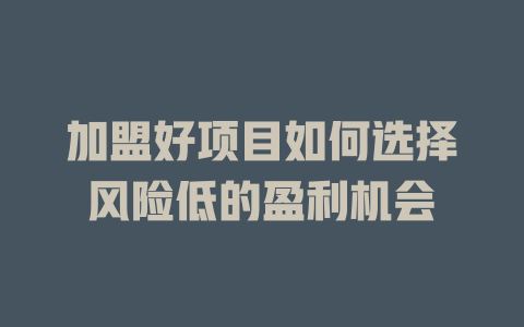 加盟好项目如何选择风险低的盈利机会-小本创业副业项目推荐_零成本在家赚钱项目_中赚网