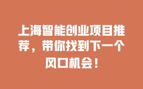上海智能创业项目推荐，带你找到下一个风口机会！-小本创业副业项目推荐_零成本在家赚钱项目_中赚网