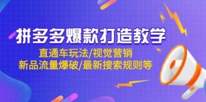 拼多多爆款打造教学：直通车玩法/视觉营销/新品流量爆破/最新搜索规则等-小本创业副业项目推荐_零成本在家赚钱项目_中赚网