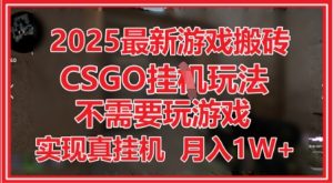 2025最新游戏搬砖，CSGO挂G，不需要玩游戏，实现真挂G，月入1W+-小本创业副业项目推荐_零成本在家赚钱项目_中赚网