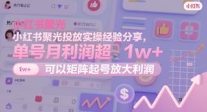 小红书聚光投放实操经验分享，单号月利润超1w+，可以矩阵起号放大利润-小本创业副业项目推荐_零成本在家赚钱项目_中赚网