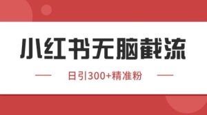 小红书只要你有同行就能获客，独家野路子获客玩法，暴力截流-小本创业副业项目推荐_零成本在家赚钱项目_中赚网
