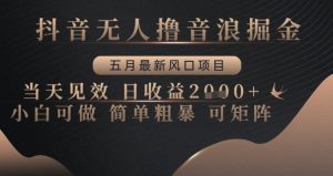 抖音无人撸音浪掘金，五月最新风口项目，当天见效，日收益多张，小白可做简单粗暴可矩阵-小本创业副业项目推荐_零成本在家赚钱项目_中赚网