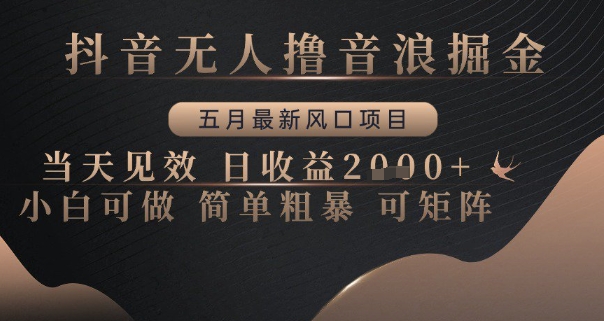 抖音无人撸音浪掘金，五月最新风口项目，当天见效，日收益多张，小白可做简单粗暴可矩阵-小本创业副业项目推荐_零成本在家赚钱项目_中赚网