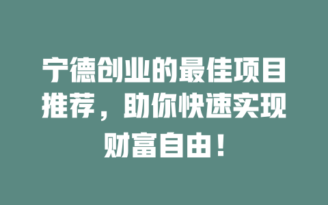 宁德创业的最佳项目推荐，助你快速实现财富自由！-小本创业副业项目推荐_零成本在家赚钱项目_中赚网