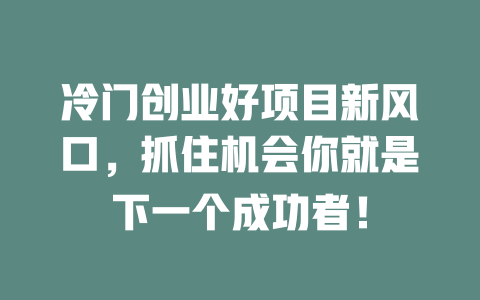冷门创业好项目新风口，抓住机会你就是下一个成功者！-小本创业副业项目推荐_零成本在家赚钱项目_中赚网