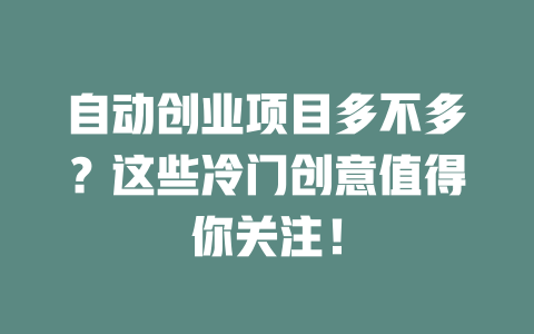 自动创业项目多不多?这些冷门创意值得你关注! 一