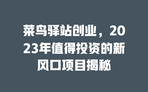 菜鸟驿站创业，2023年值得投资的新风口项目揭秘-小本创业副业项目推荐_零成本在家赚钱项目_中赚网