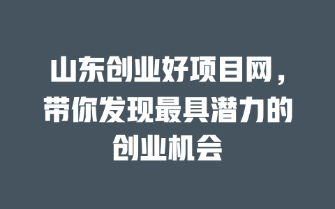 山东创业好项目网，带你发现最具潜力的创业机会-小本创业副业项目推荐_零成本在家赚钱项目_中赚网