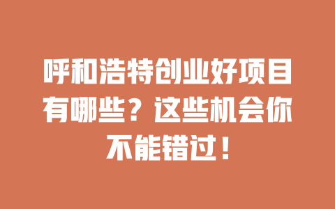 呼和浩特创业好项目有哪些？这些机会你不能错过！-小本创业副业项目推荐_零成本在家赚钱项目_中赚网